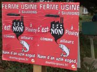 [Splann ! Infolettre] Une usine de saumons à Guingamp ? On n'arrête pas le progrès ! | Infolettre n°4 - 15 février 2022
