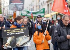 Deux projets de « ferme-usine » de saumons dans le Pas-de-Calais suscitent la polémique